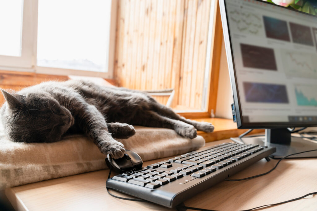 cat sleeping with paw on computer mouse, stock market and financial charts on the computer screen